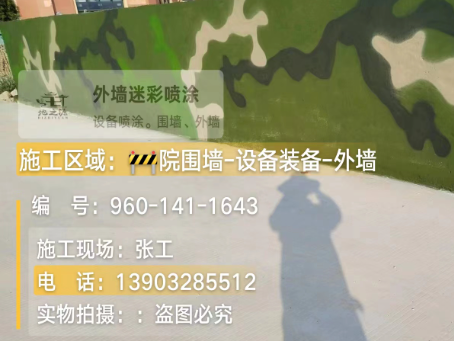 衡阳 迷彩漆喷涂价格（按平方米计费）
