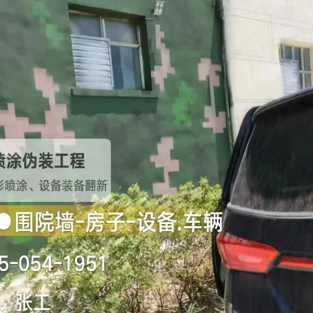 衡阳数码迷彩漆施工
